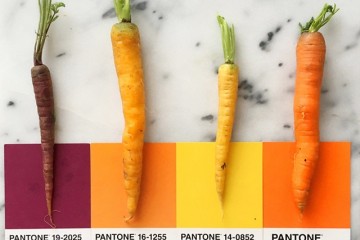 Pantone Food